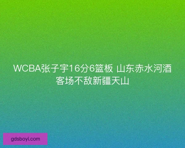 WCBA张子宇16分6篮板 山东赤水河酒客场不敌新疆天山