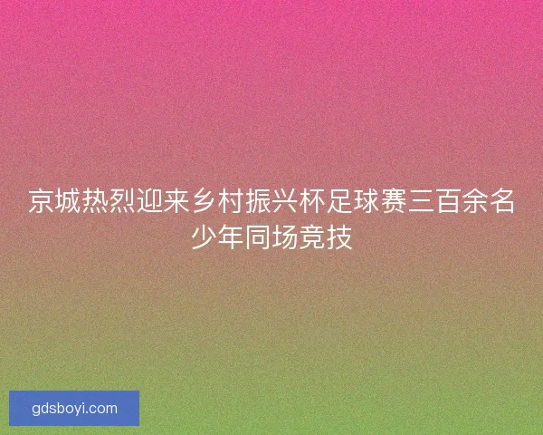 京城热烈迎来乡村振兴杯足球赛三百余名少年同场竞技